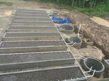 aquaponics