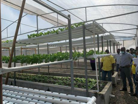 aquaponics facility