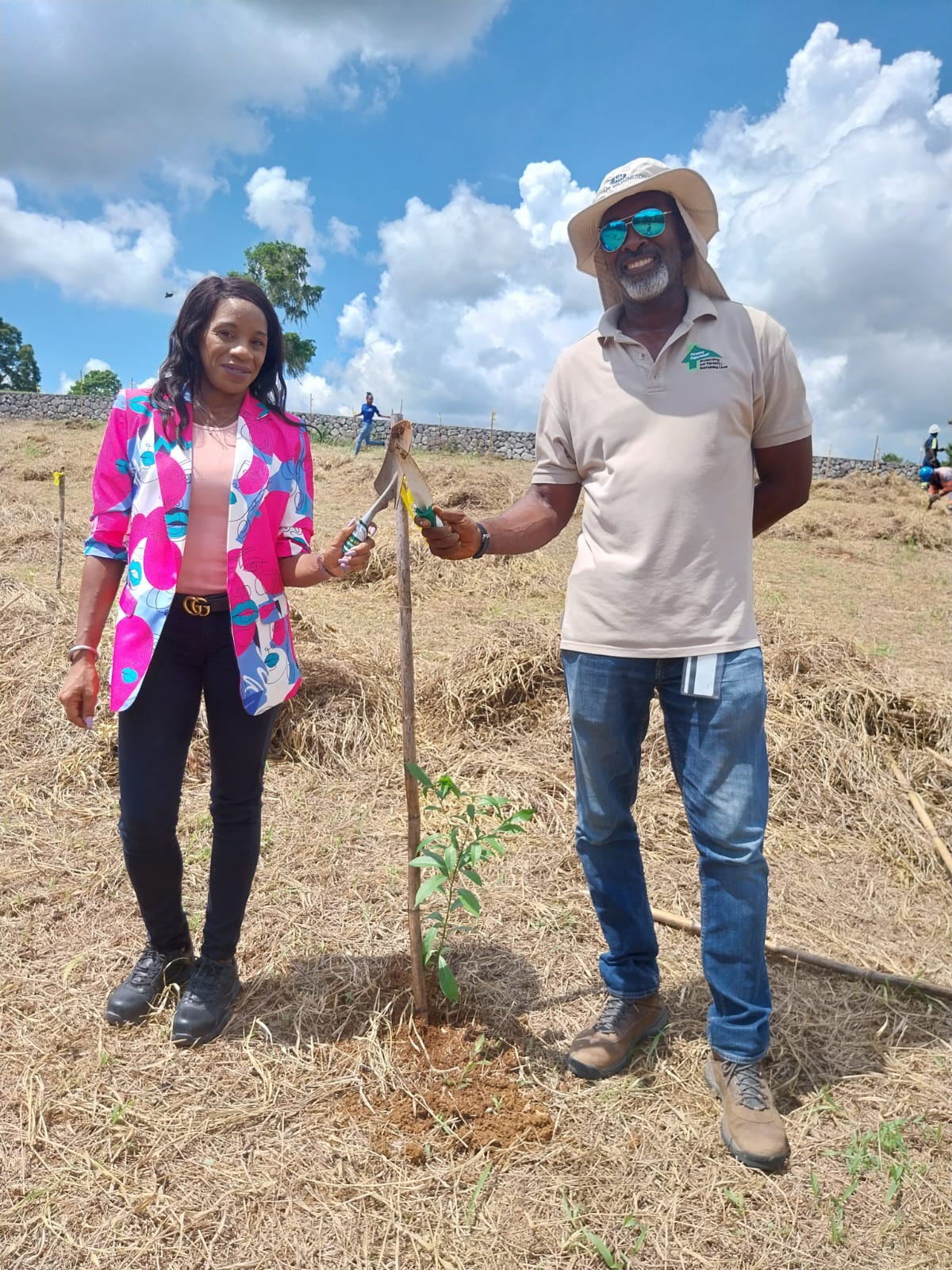 Forestry Department and JMB Announce Partnership to Plant 20,000 Trees